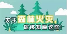 森林恶鬼诅咒电影