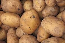 potatochat土豆下载