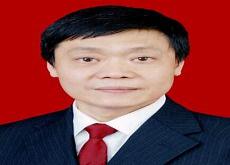 真情永远简谱歌谱